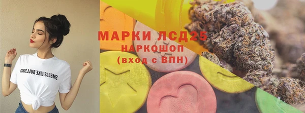 сатива Магадан