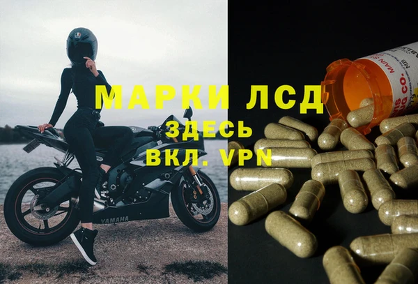 индика Лихославль