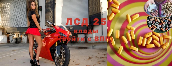 стаф Магас