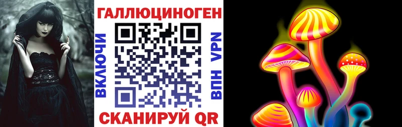 где купить наркотик  Нижнекамск  Псилоцибиновые грибы мицелий 