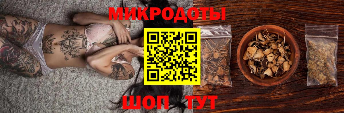 Псилоцибиновые грибы Cubensis Нижнекамск