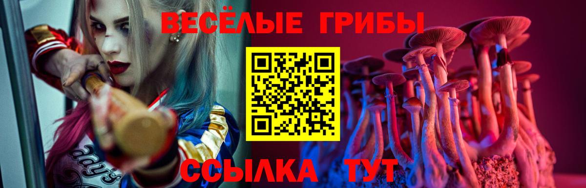 Нижнекамск  Псилоцибиновые грибы GOLDEN TEACHER  Вход с VPN 